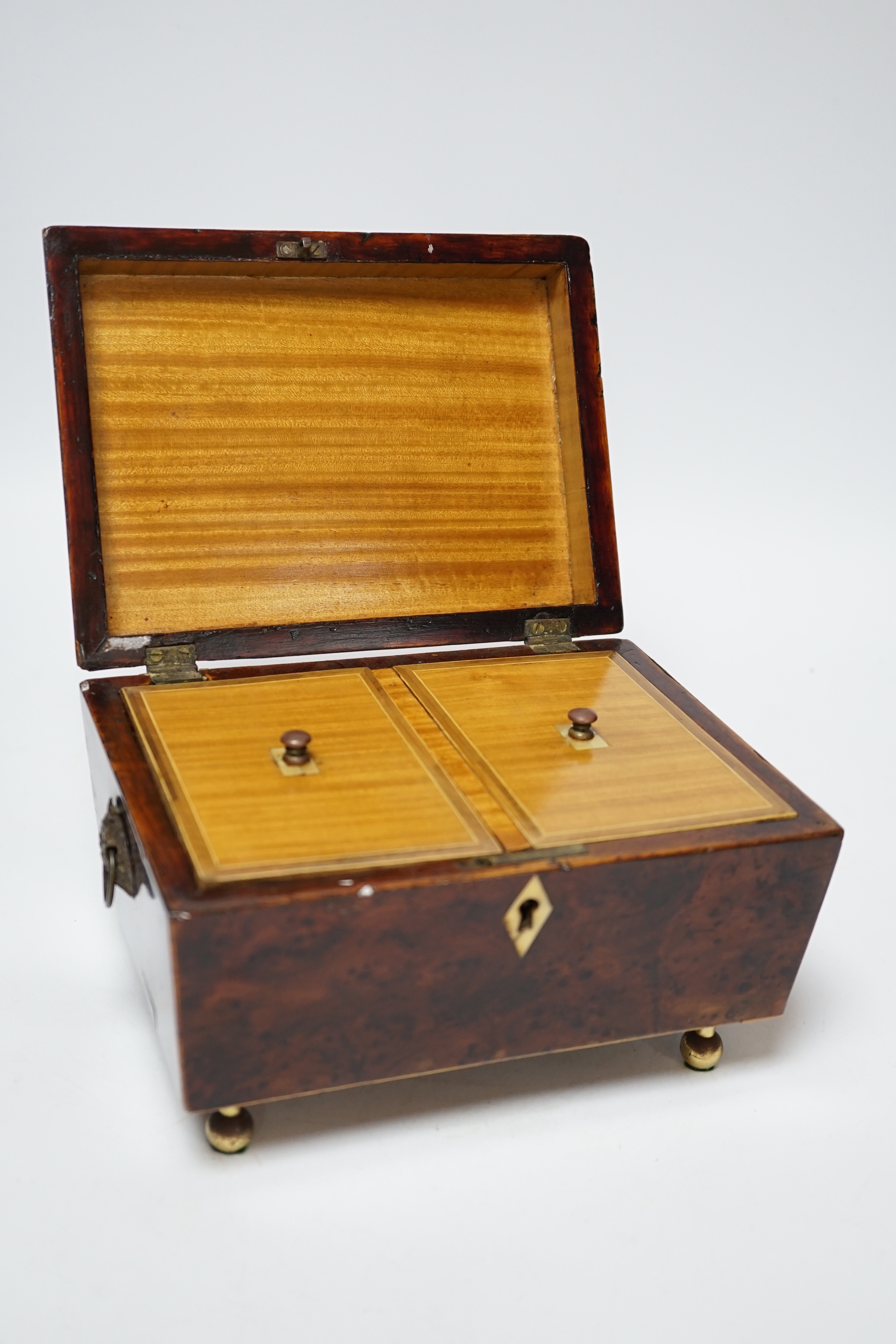 A Regency banded burr yew tea caddy, Ivory escutcheon, 20cm wide CITES Submission reference 4NYKHDBU